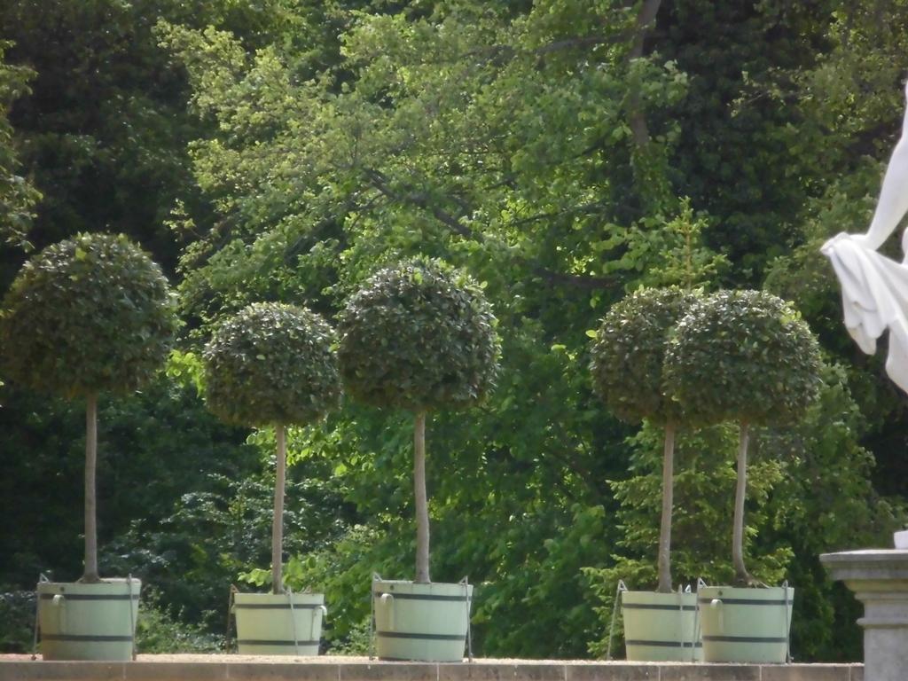 Schlossparkferienwohnungen Rheinsberg Mit Garten Exterior foto